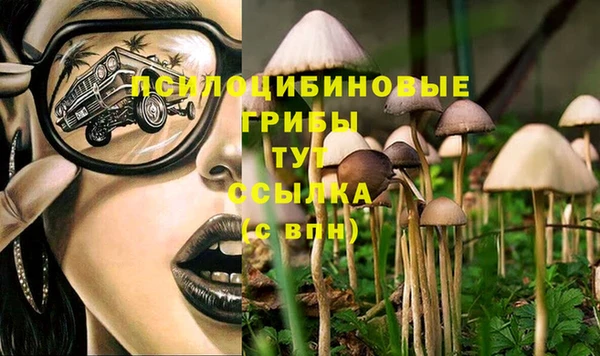 mdma Волоколамск